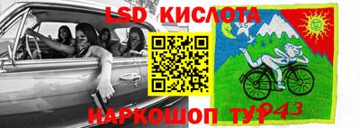 spice Севастополь