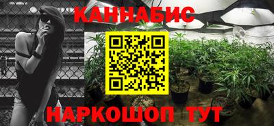 spice Севастополь