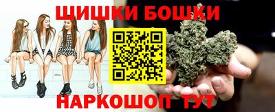 spice Севастополь