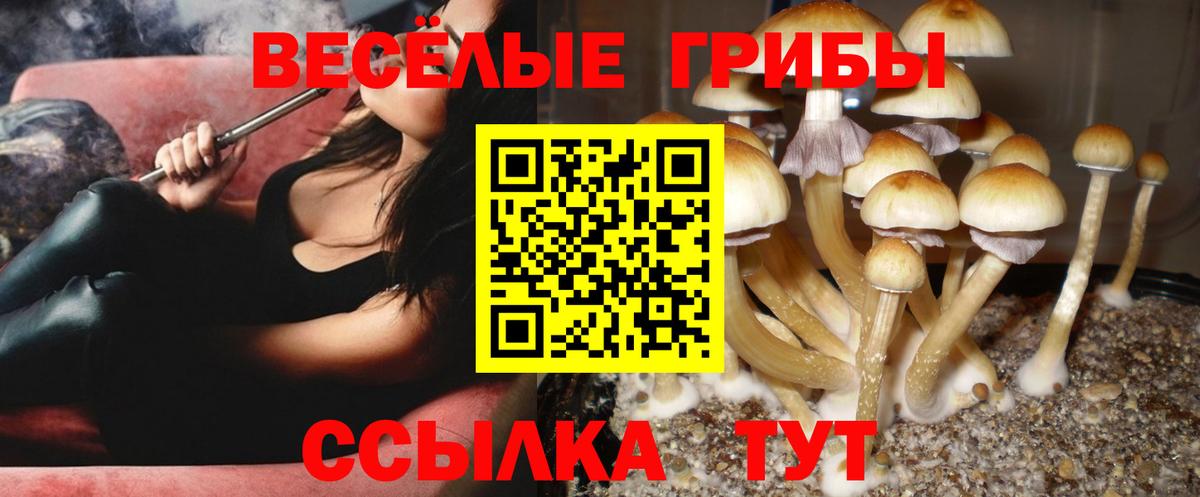 Галлюциногенные грибы мицелий  Галлюциногенные грибы Magic Shrooms  Новоуральск  Вход с VPN 